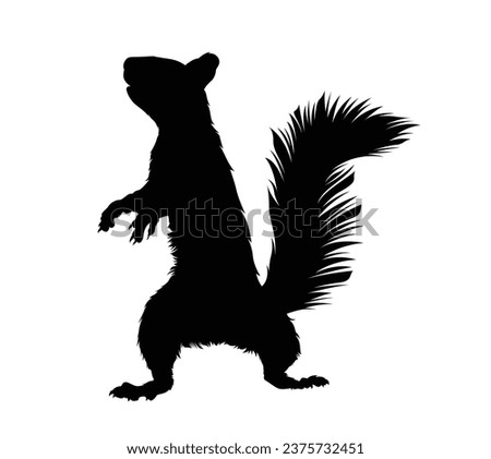 squirrel silhouette design isolated on white background. Squirrel vector silhouette on white background. Vector illustration.