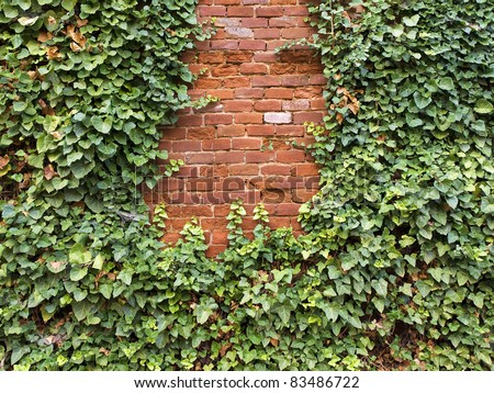 brick wall with plan