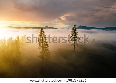 Similar – Foto Bild Sonne scheint am nebligen Morgen über den Bergen