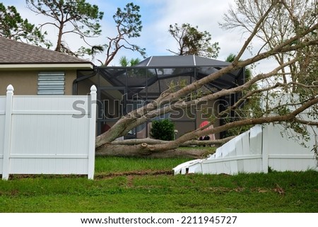 Image, Stock Photo Cut tree with barrier tape in park