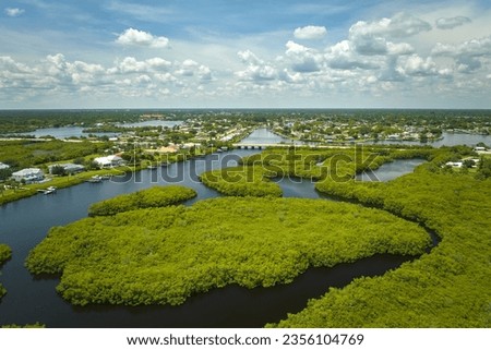 Similar – Foto Bild Everglades Florida Steg