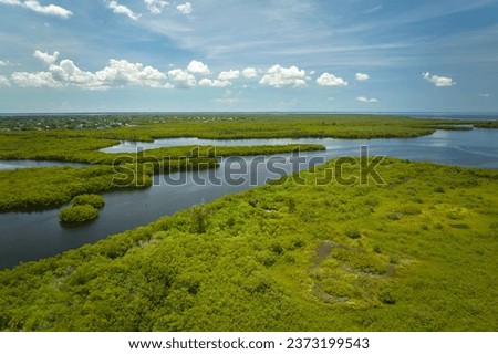 Similar – Image, Stock Photo Aerial View Green Marsh And River Landscape In Summer Day. Top View Of Beautiful European Nature From High Attitude In Summer Season. Drone View. Bird’s Eye View