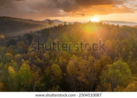 Similar – Foto Bild Eiche bei Sonnenuntergang