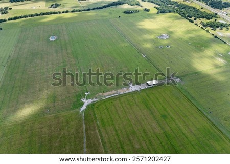 Similar – Foto Bild Reinrassige Kühe grasen auf der Weide in Bergnähe unter blauem Himmel