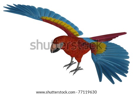 colorful parrot macaw in flight