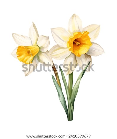 Similar – Image, Stock Photo Narcissus bush with green leaves and yellow flower in the garden