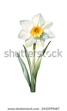 Similar – Image, Stock Photo Narcissus bush with green leaves and yellow flower in the garden