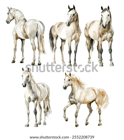 Similar – Image, Stock Photo Horses stand in the paddock in the evening and wait