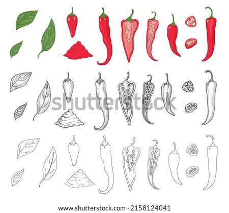 Pepper vegetable icons set outline, hand drawn vector. Hot chili. Green spicy