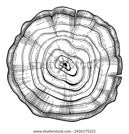 Similar – Image, Stock Photo a felled forest part from above