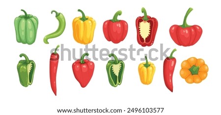 Various bell peppers. Cartoon red green yellow orange sweet paprika, fresh organic vegetable for cooking and healthy eating. Vector colorful set of food vegetable illustration on white background