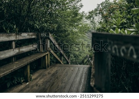 Similar – Image, Stock Photo Forest and bridge in fog