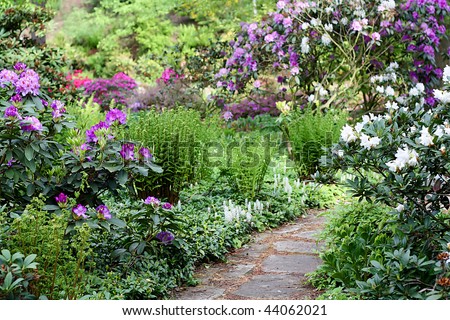 secret garden with blooming flowers