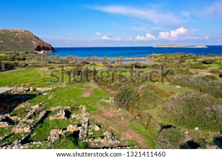 Similar – Image, Stock Photo Olive grove with ancient gnarled olive trees in Mallorca