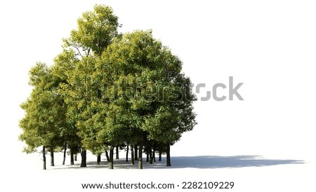 Similar – Image, Stock Photo Small grove on empty dry field