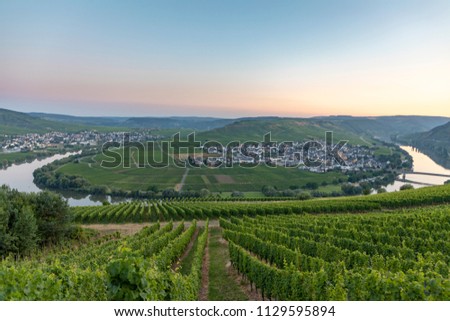 Similar – Foto Bild grüne Weinberge, die Trittenheimer Apotheke an der Mosel