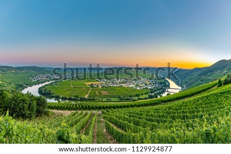 Similar – Foto Bild grüne Weinberge, die Trittenheimer Apotheke an der Mosel