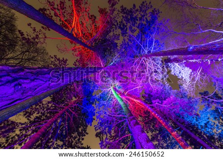 FRANKFURT, GERMANY - JAN 21, 2015: light event Winterlichter by night   in the Palmgarden in Frankfurt, Germany.The light show is open to public until 25th of January.