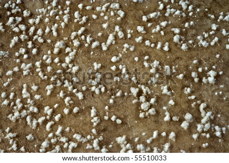 beautiful stone structure at the coast line with dried salt painting an artificial picture