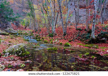Autumn in forest mountains. Mountain river stream.