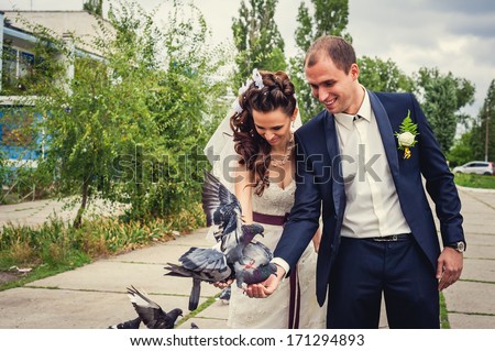 wedding couple with pigeons. wedding - bride and groom together with pigeons in bridal day enjoy a moment of happiness and love. Beautiful happy couple in love newlywed outdoors.