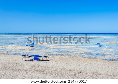 Beach at a luxury typical unrecognizable 5 star hotel in Egypt, Africa. Holiday resort in Egypt. sharm el sheikh. hurgada.