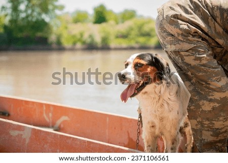 Similar – Image, Stock Photo Calm spotted dog sitting and looking up
