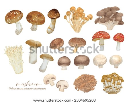 Set of various mushrooms hand drawn by watercolor