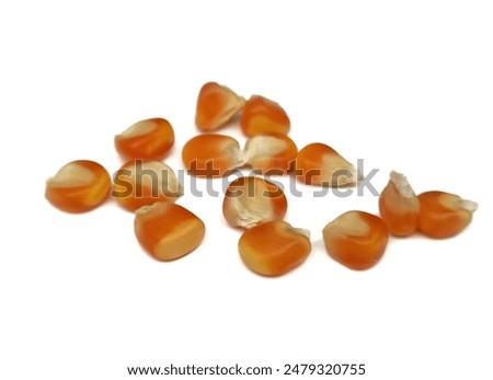 Similar – Image, Stock Photo Dried corn seeds at factory