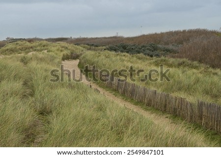 Similar – Image, Stock Photo Path through the dunes with a view of the beach of the North Sea