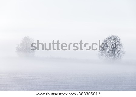 Similar – Foto Bild Nebelige Schneelandschaft