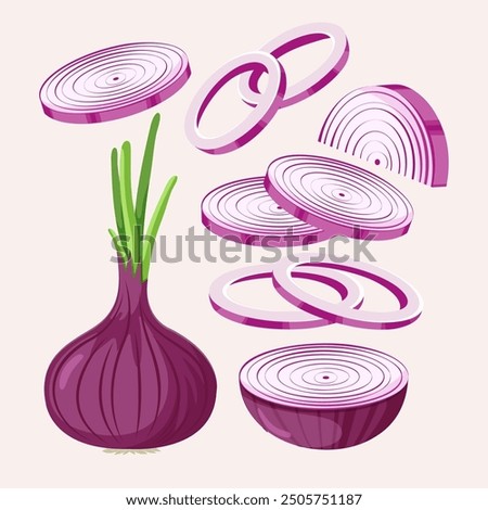 Red onion isolated on white background. Whole root onion and half, slices. Vector vegetables illustration in flat style.