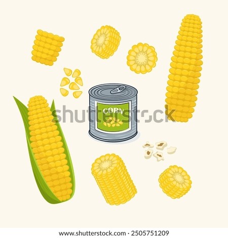 Illustration of Corn Variations - Whole Corn, Kernels, Slices, and Canned Corn - Detailed Vector Design for Food Packaging, Agriculture, or Cooking Content isolated