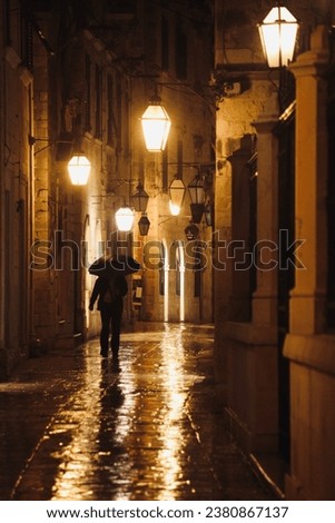 Similar – Image, Stock Photo A street alley in Portugal with shops