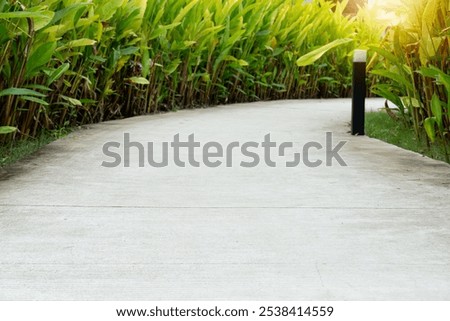 Similar – Image, Stock Photo The autumnal lily stone in the Elbe Sandstone Mountains