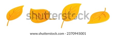 Similar – Image, Stock Photo Fallen leaves floating on water