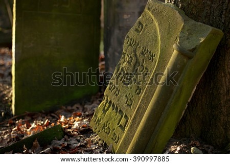 Jewish cemetery in Warsaw, Poland Zdjęcia stock © 