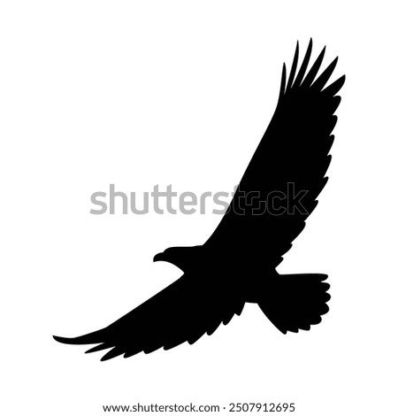 Eagle, silhouette of eagle, Eagle logo, icon, Logo, Vector graphic of eagle icon. Black and White Silhouette EPS10