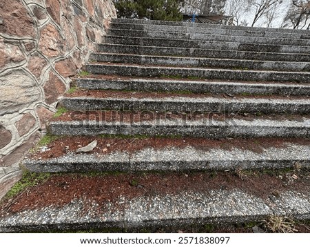 Similar – Foto Bild Treppen, nach oben Moos