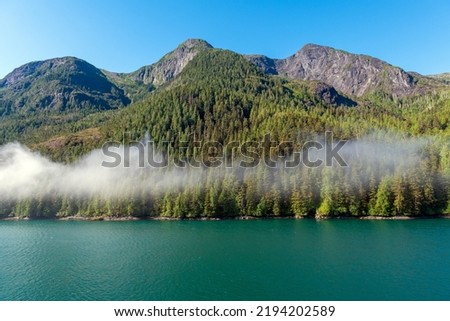 Landscape of island with pine and cedar trees forest along Inside Passage cruise between Prince Rupert and Port Hardy, Vancouver Island, British Columbia, Canada. Photo stock © 