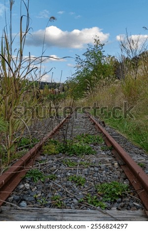 Similar – Image, Stock Photo old unused railroad tracks in the vicinity of Luckenwalde