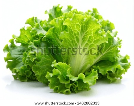 Similar – Image, Stock Photo Organic vegetables on a stall