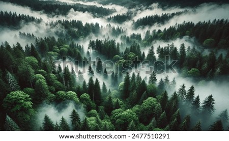 Image, Stock Photo Green mystical landscape with rivers, hills and fog in Asia