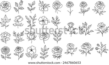 set of flowers. Collection of hand drawn flowers. Outline roses and leaves.  