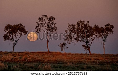 Similar – Image, Stock Photo Full moon over the rooftops