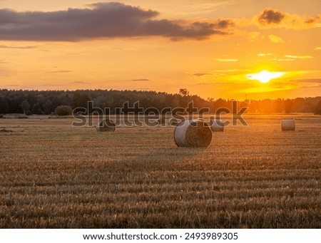 Similar – Foto Bild Sonnenuntergang am Weizenfeld