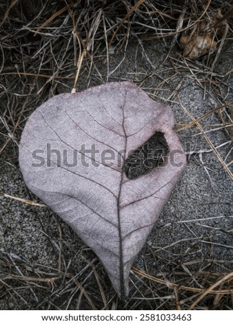 Foto Bild schöner wohnen (3). Ruine