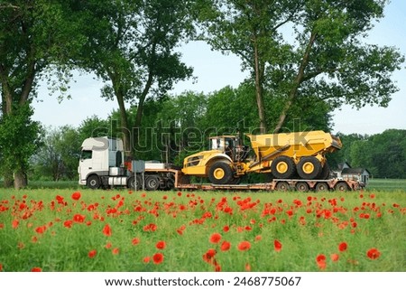 Similar – Image, Stock Photo red poppy blossom against green background