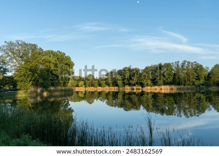 Similar – Image, Stock Photo summer evening harmony