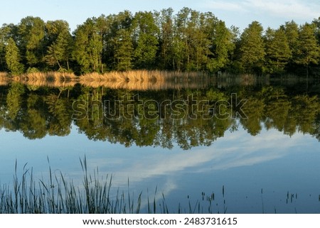 Similar – Image, Stock Photo summer evening harmony